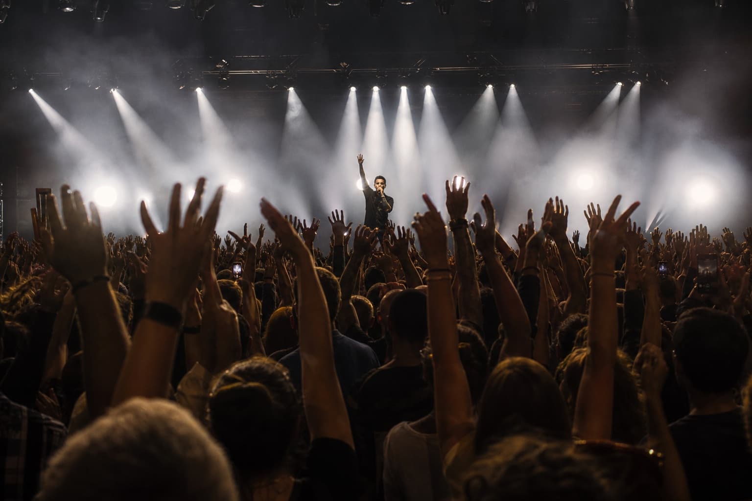 Energetic concert crowd facing an artist on stage